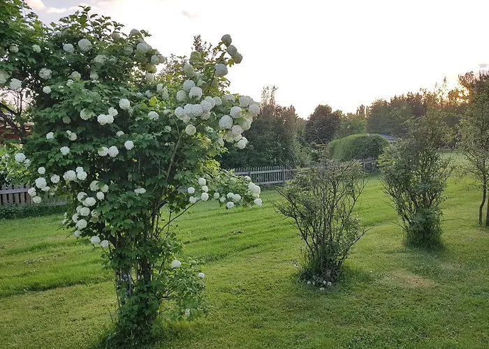 Garage, Tallitalo Apartment *